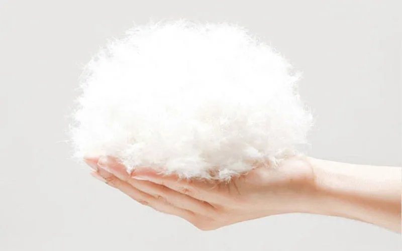 2025 New Autumn Winter Warm Women Jacket Fashion Ultra Lightweight Down Cotton Slim Coat Solid Matt Fabric Windbreaker Parkas